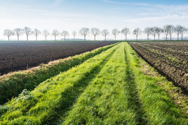 Kamervragen invloed Didam-arrest op pachtovereenkomsten