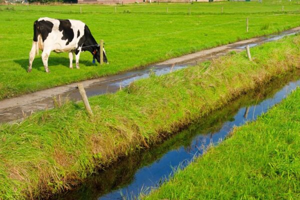 Verbouwing voor rekening bv was uitdeling van winst aan dga